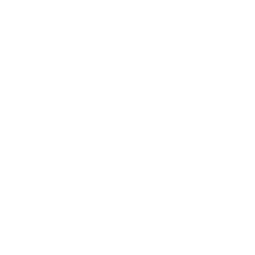 Icône coaching sur mesure - La Salle Pays de Gex